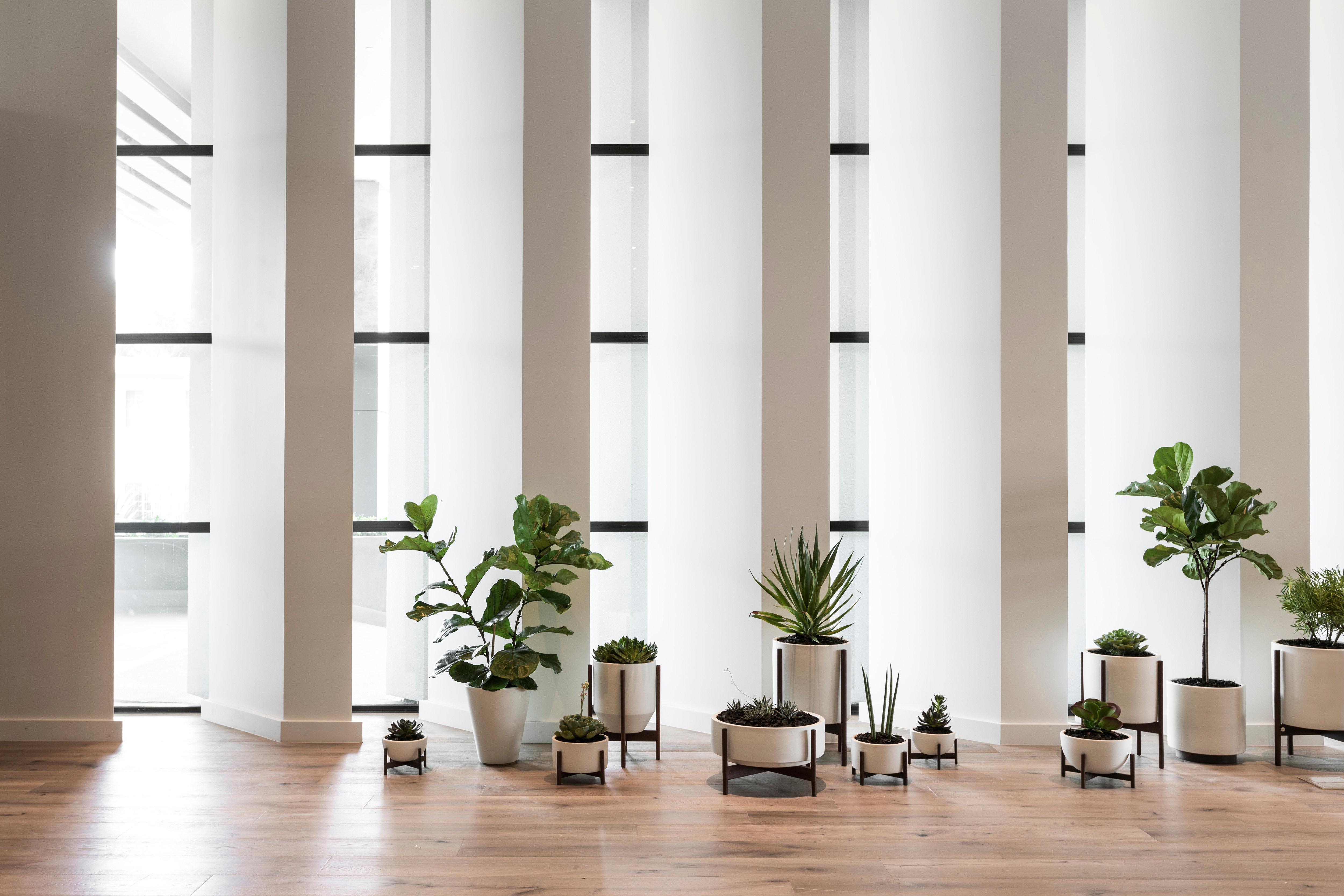 Hotel Kimpton Everly Hollywood By Ihg Los Ángeles